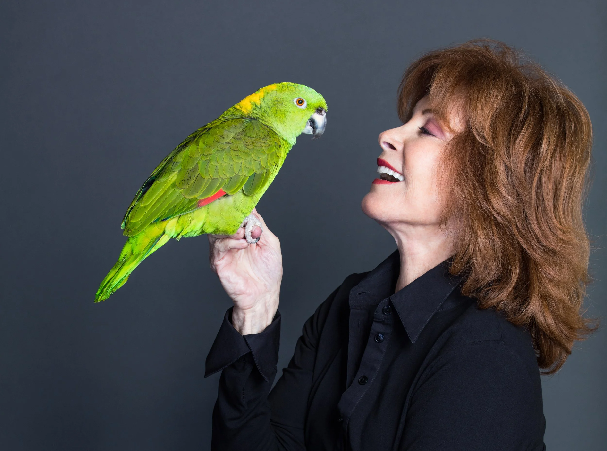 Stefanie Powers — Celebrity Actress