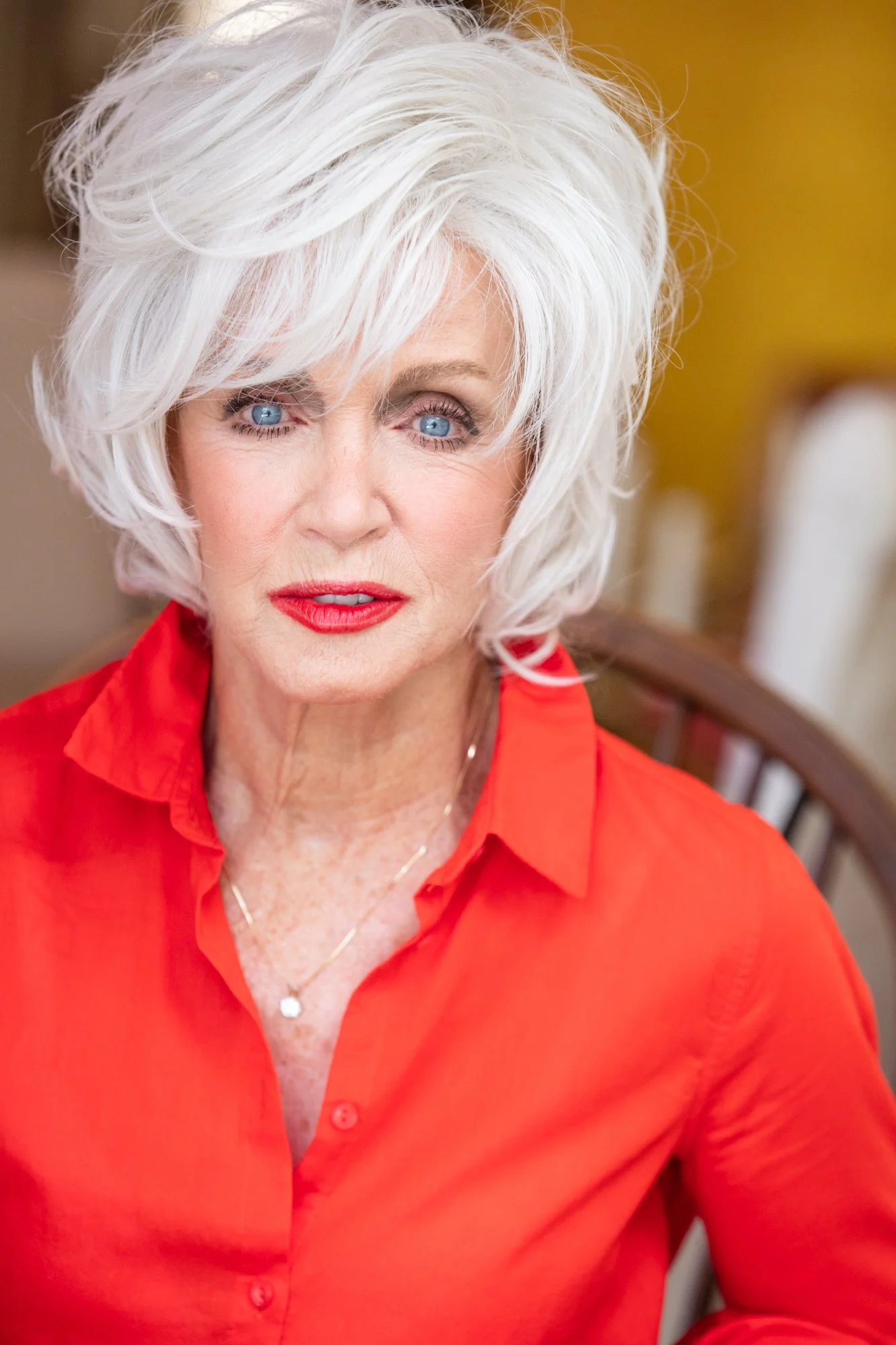 Donna Mills — Celebrity Actress