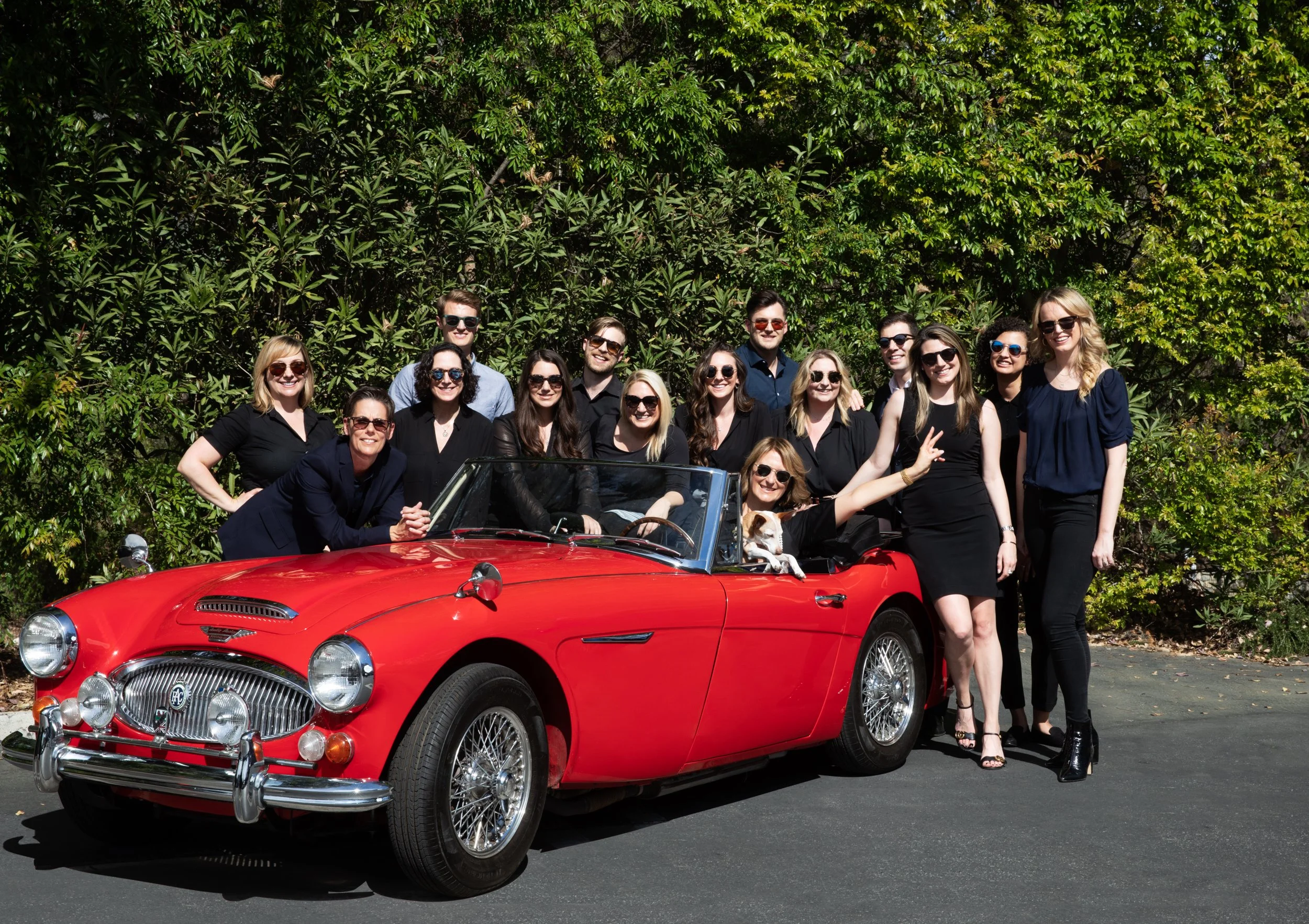 Fiona Hutton & Associates